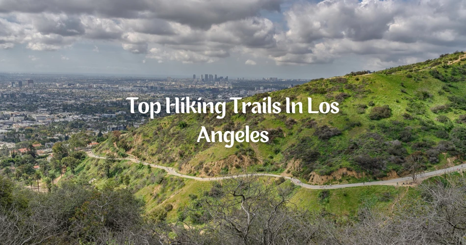 Exploring the Top Hiking Trails in Los Angeles